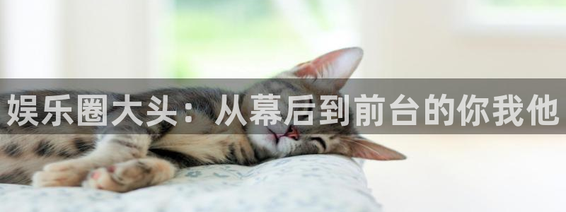 豪门国际app