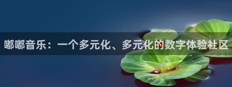 豪门国际