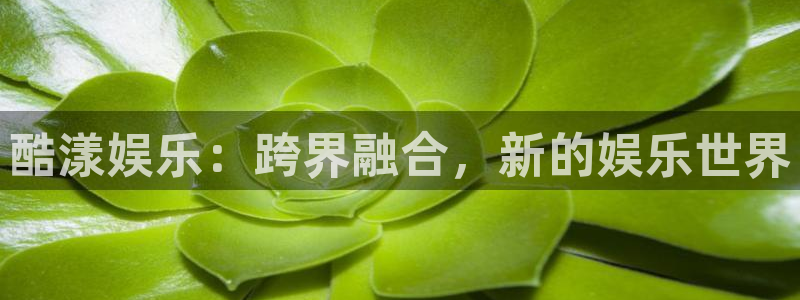 豪门国际水会
