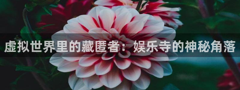 豪门国际所有网站