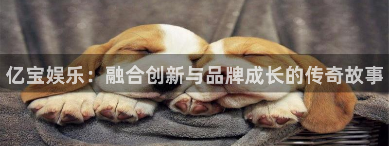 豪门国际pg