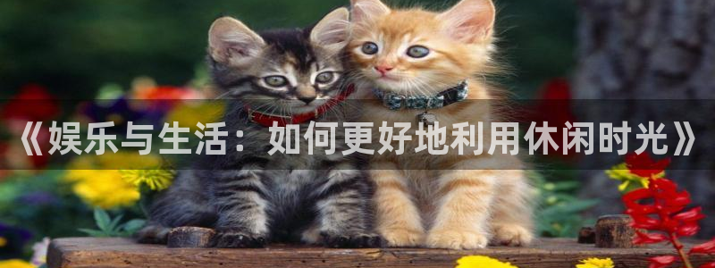 豪门国际怎么玩