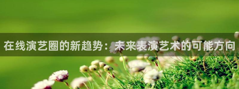 豪门国际
